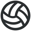Volleyball icon
